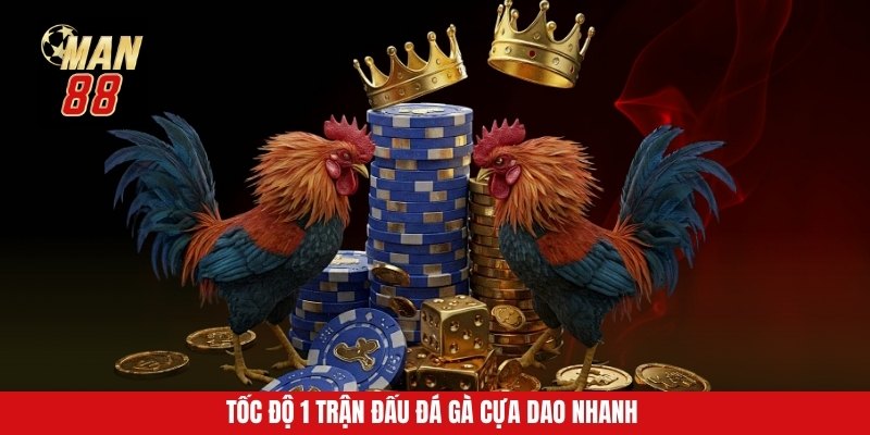 Tốc độ 1 trận đấu đá gà cựa dao nhanh Tốc độ 1 trận đấu đá gà cựa dao nhanh 